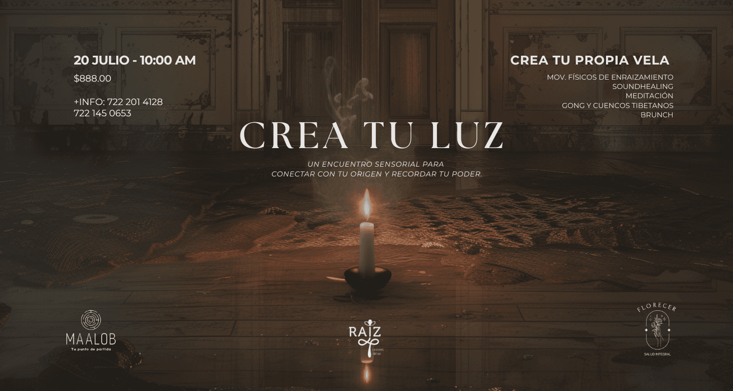 Crea tu luz – Raíz