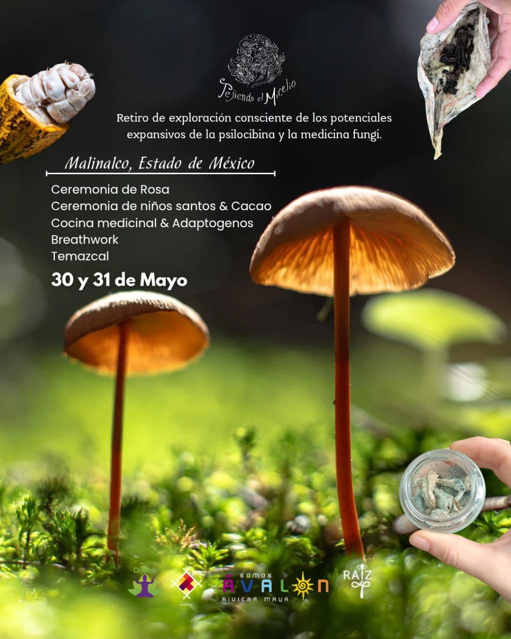 Tejiendo el Micelio — Malinalco, Estado de México. 30 y 31 de Mayo