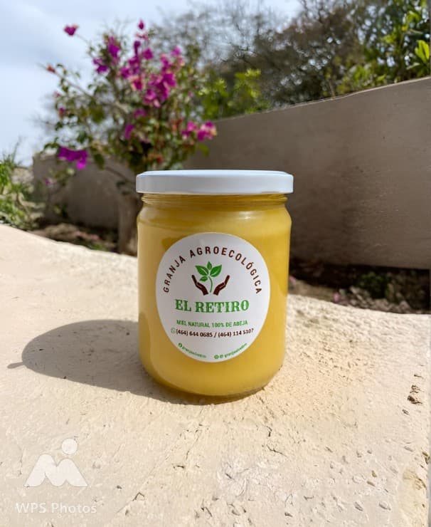 Miel de Abeja (100% pura)