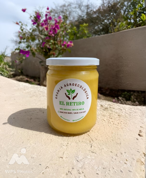 Miel de Abeja (100% pura)